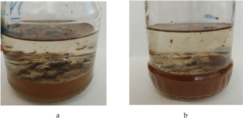 Samples-of-aviation-fuel-with-microbiological-contamination-a-fuel-RT-from-aircraft