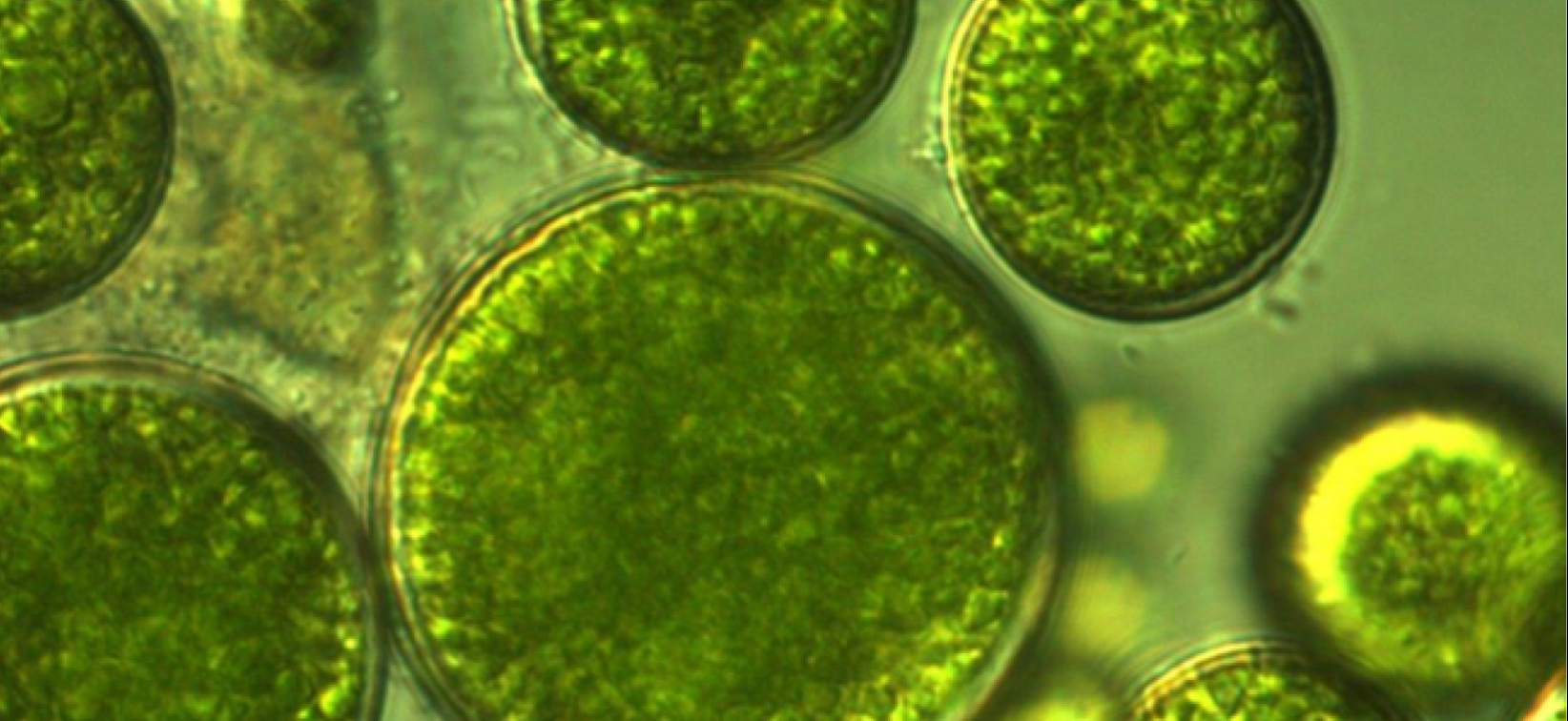 Cara Mengatasi Masalah Air Rumah Berwarna Hitam