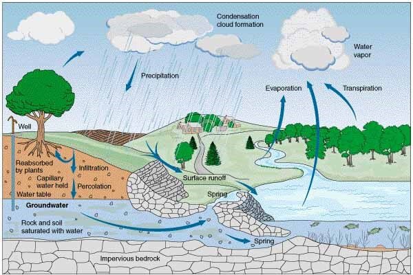 Dampak Perubahan Musim terhadap Kualitas Air Isi Ulang