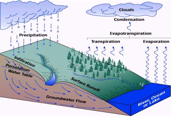 Air Tanah vs Air Permukaan Apa yang Perlu Anda Ketahui