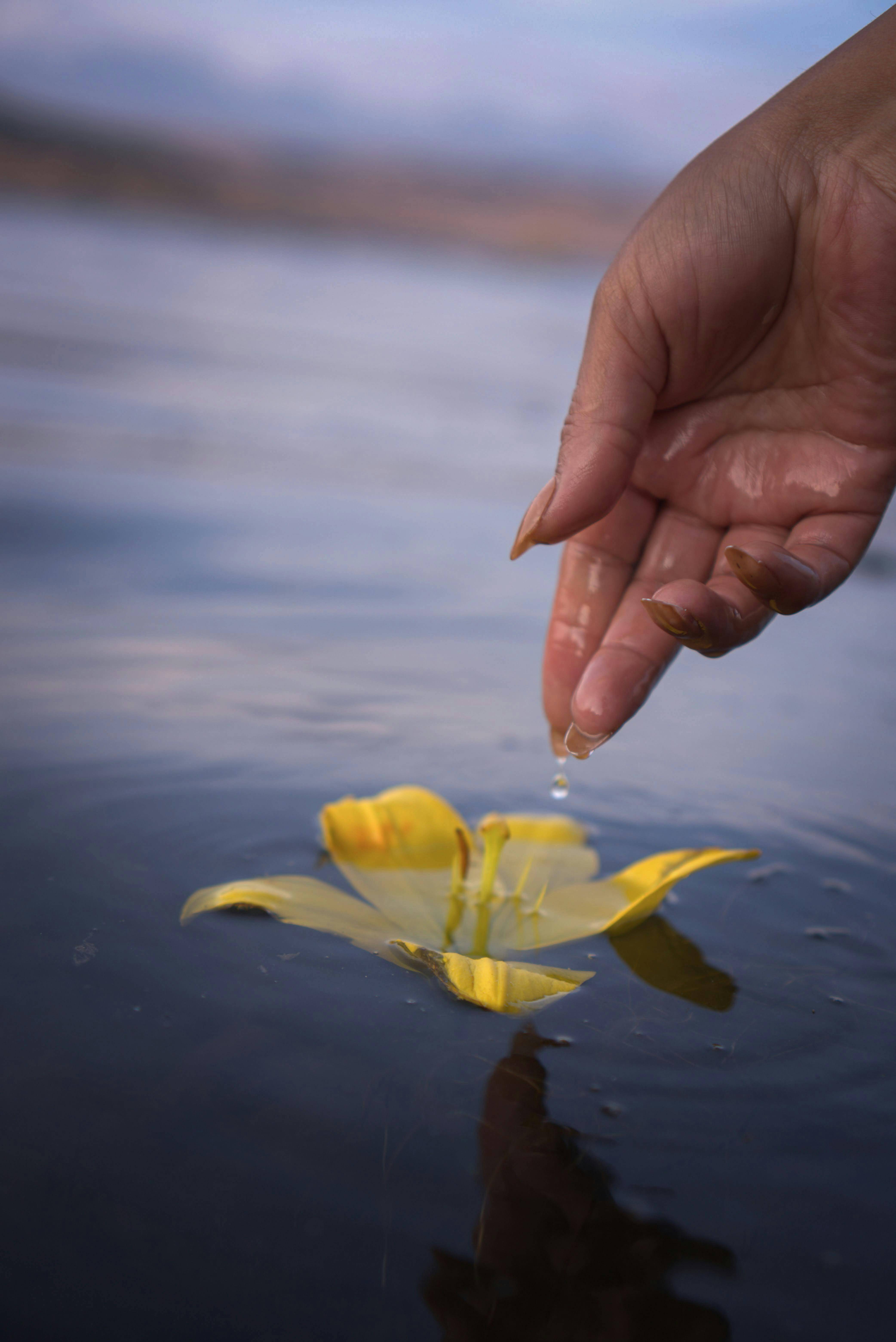 Kontaminan Baru dalam Air Apa Itu dan Bagaimana Mengatasinya