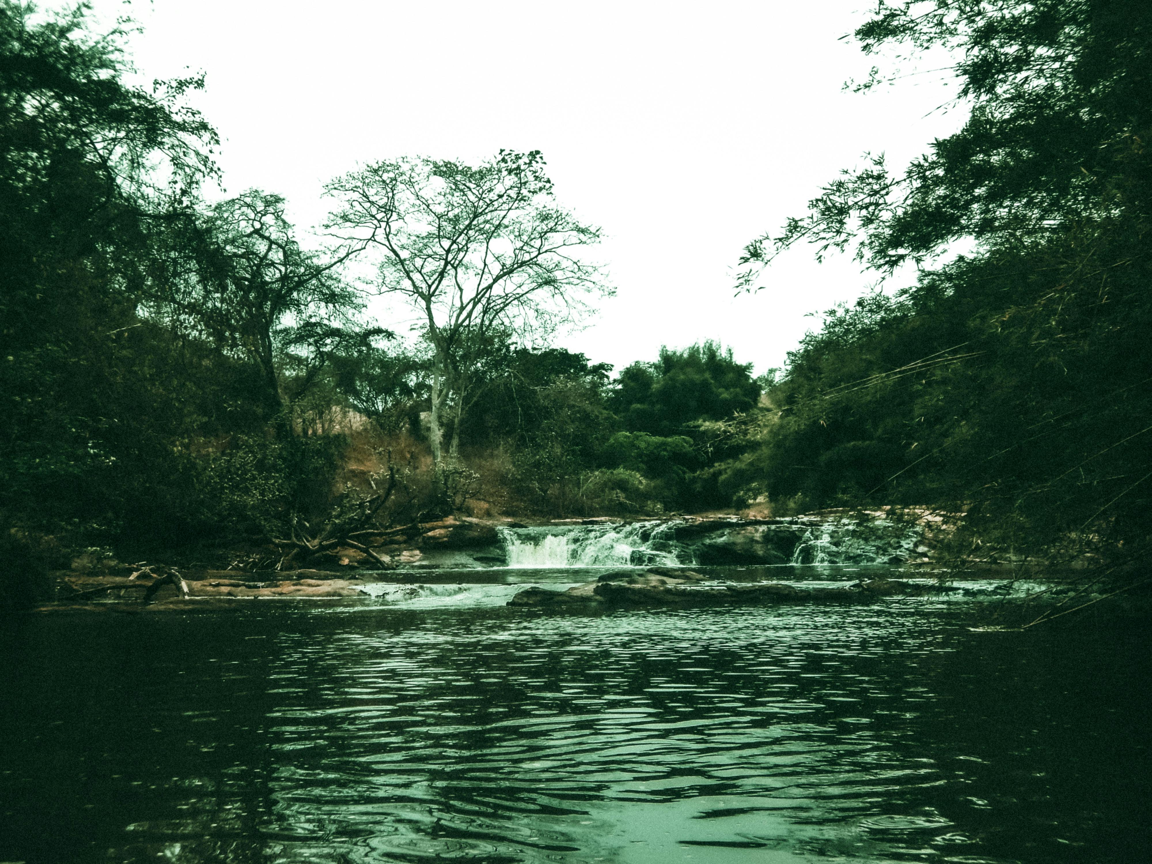 Dampak Kontaminan Air terhadap Kesehatan